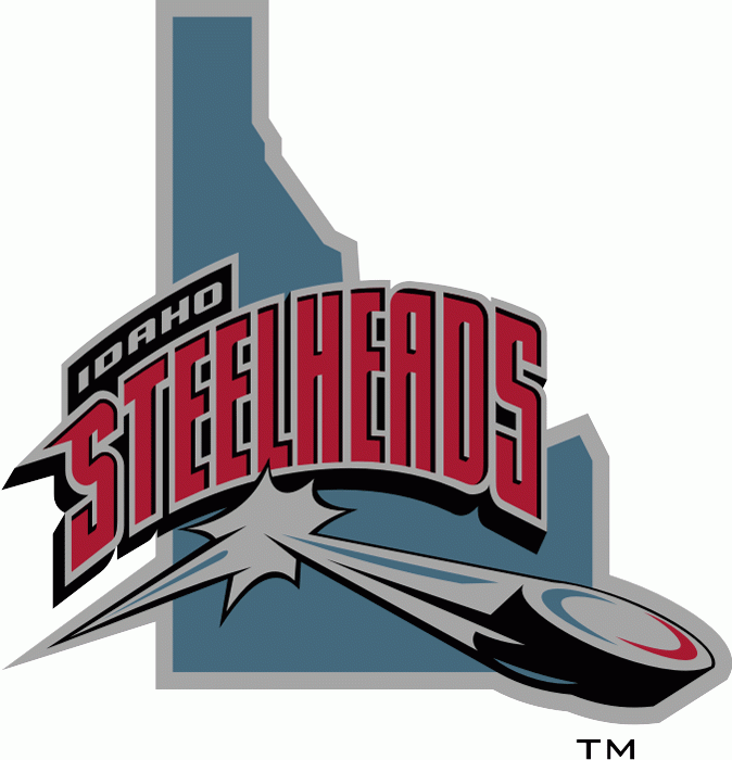 idaho steelheads 2004-2006 alternate logo iron on transfers for clothing